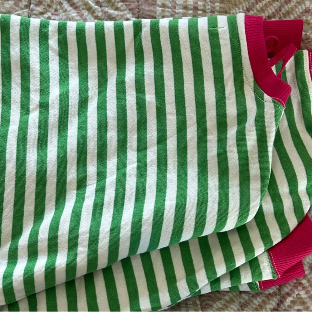 We The Free (Free People) Green and White Stripe Sweatshirt with Pink Trim - Picture 6 of 6